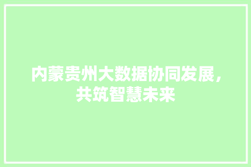 内蒙贵州大数据协同发展，共筑智慧未来  第1张