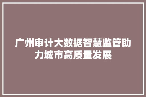 广州审计大数据智慧监管助力城市高质量发展  第1张