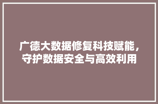 广德大数据修复科技赋能，守护数据安全与高效利用