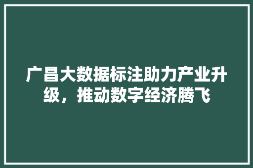 广昌大数据标注助力产业升级，推动数字经济腾飞