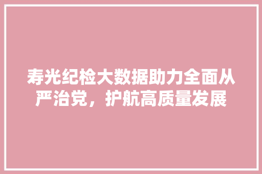 寿光纪检大数据助力全面从严治党，护航高质量发展