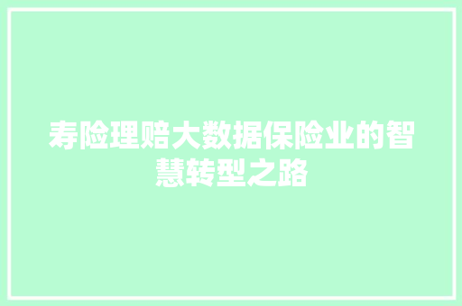 寿险理赔大数据保险业的智慧转型之路