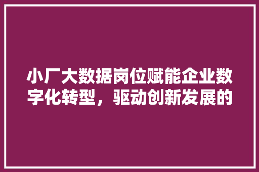 小厂大数据岗位赋能企业数字化转型，驱动创新发展的新引擎