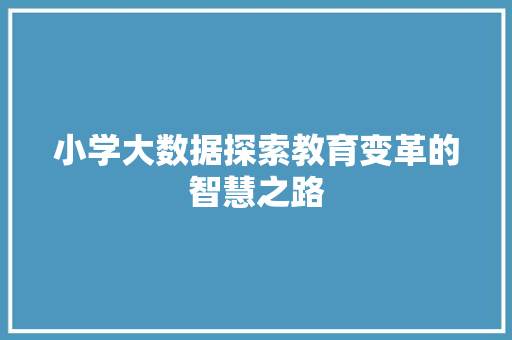 小学大数据探索教育变革的智慧之路