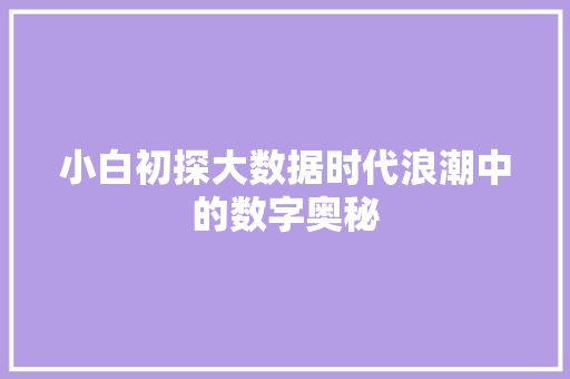 小白初探大数据时代浪潮中的数字奥秘  第1张