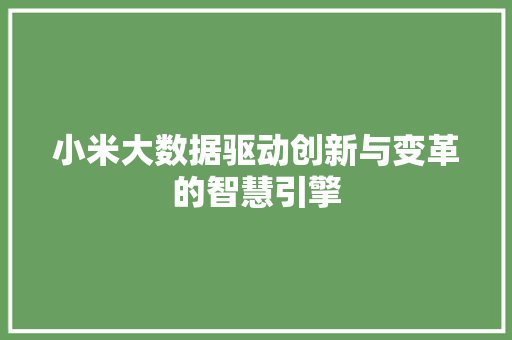小米大数据驱动创新与变革的智慧引擎