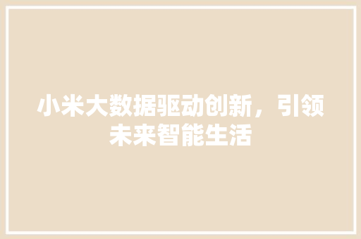 小米大数据驱动创新，引领未来智能生活