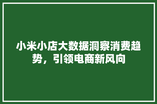 小米小店大数据洞察消费趋势，引领电商新风向