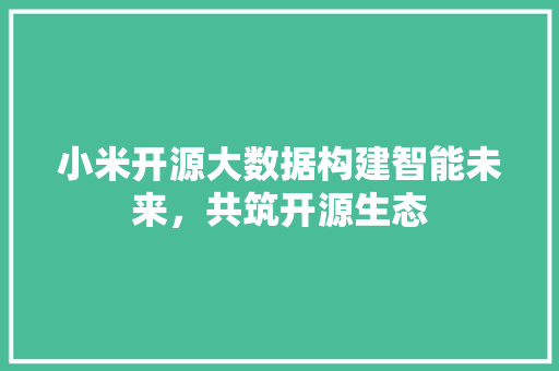 小米开源大数据构建智能未来，共筑开源生态
