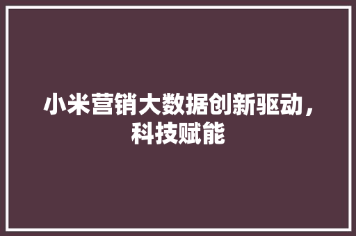 小米营销大数据创新驱动，科技赋能