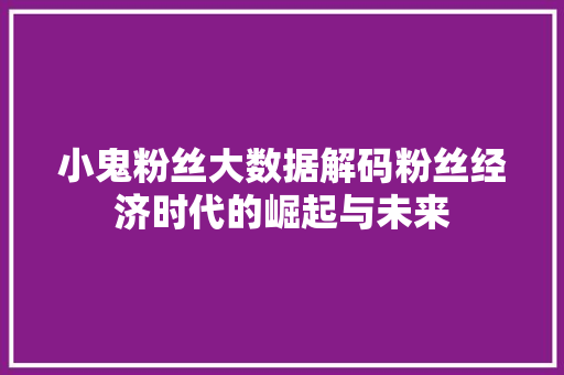 小鬼粉丝大数据解码粉丝经济时代的崛起与未来  第1张