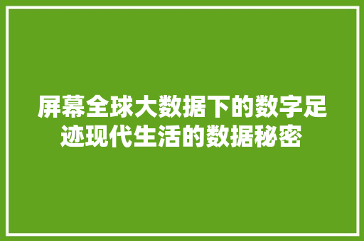 屏幕全球大数据下的数字足迹现代生活的数据秘密