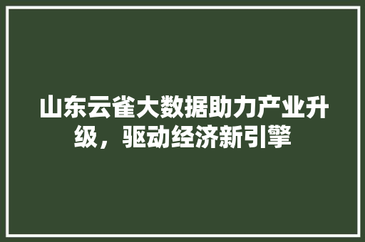 山东云雀大数据助力产业升级，驱动经济新引擎  第1张