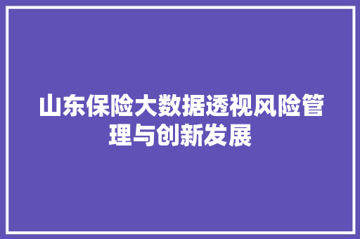 山东保险大数据透视风险管理与创新发展