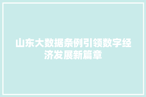 山东大数据条例引领数字经济发展新篇章  第1张