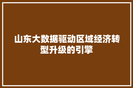 山东大数据驱动区域经济转型升级的引擎