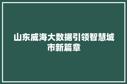 山东威海大数据引领智慧城市新篇章