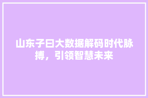 山东子曰大数据解码时代脉搏，引领智慧未来  第1张