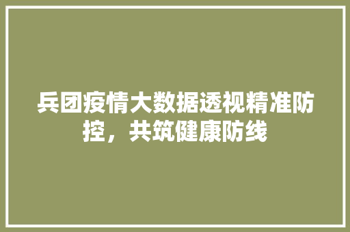 兵团疫情大数据透视精准防控，共筑健康防线  第1张