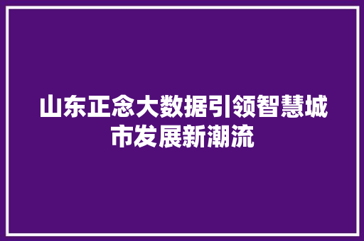 山东正念大数据引领智慧城市发展新潮流  第1张