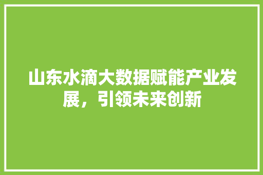山东水滴大数据赋能产业发展，引领未来创新  第1张