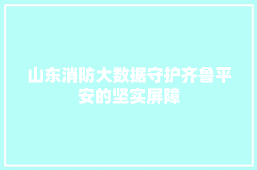 山东消防大数据守护齐鲁平安的坚实屏障  第1张