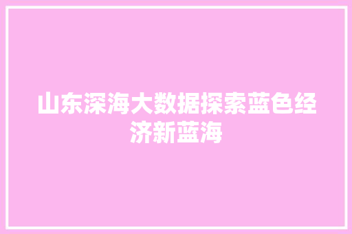 山东深海大数据探索蓝色经济新蓝海  第1张