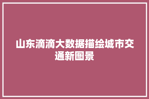 山东滴滴大数据描绘城市交通新图景  第1张