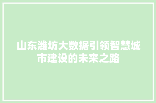 山东潍坊大数据引领智慧城市建设的未来之路  第1张
