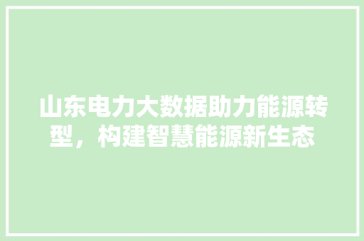 山东电力大数据助力能源转型，构建智慧能源新生态