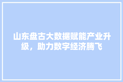 山东盘古大数据赋能产业升级，助力数字经济腾飞  第1张