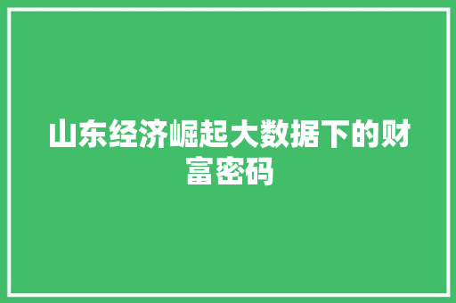 山东经济崛起大数据下的财富密码