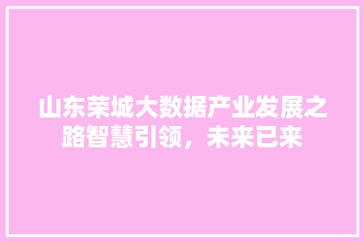 山东荣城大数据产业发展之路智慧引领，未来已来  第1张