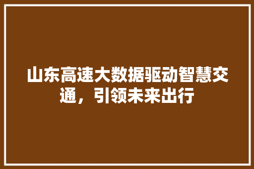 山东高速大数据驱动智慧交通，引领未来出行