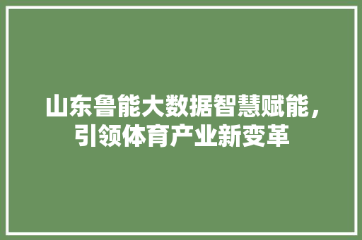 山东鲁能大数据智慧赋能，引领体育产业新变革