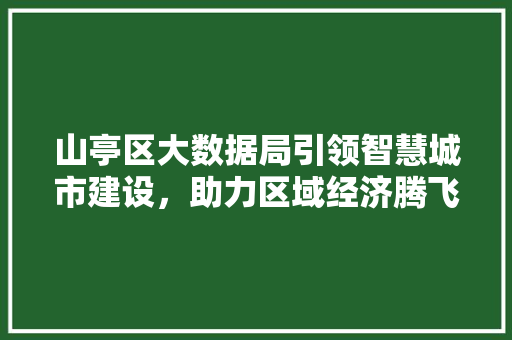 山亭区大数据局引领智慧城市建设，助力区域经济腾飞
