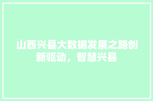 山西兴县大数据发展之路创新驱动，智慧兴县