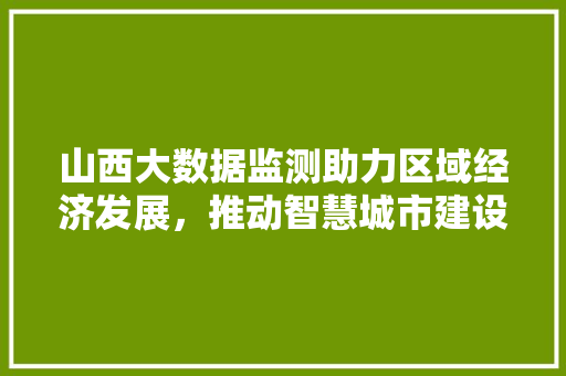 山西大数据监测助力区域经济发展，推动智慧城市建设  第1张