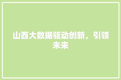 山西大数据驱动创新，引领未来
