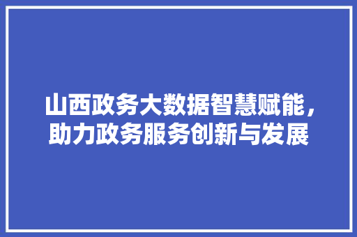 山西政务大数据智慧赋能，助力政务服务创新与发展