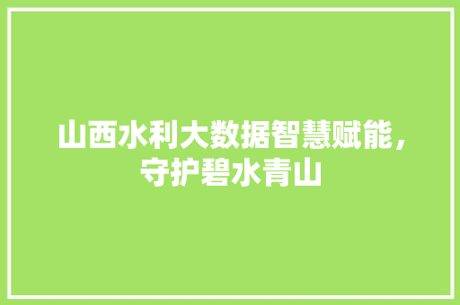 山西水利大数据智慧赋能，守护碧水青山  第1张