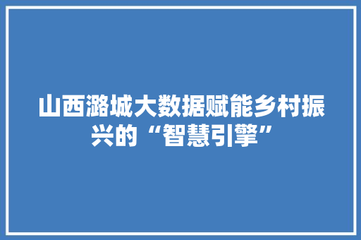 山西潞城大数据赋能乡村振兴的“智慧引擎”