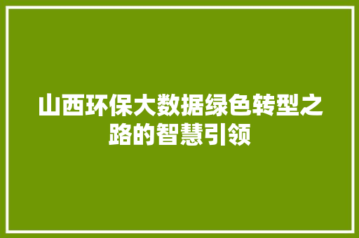 山西环保大数据绿色转型之路的智慧引领