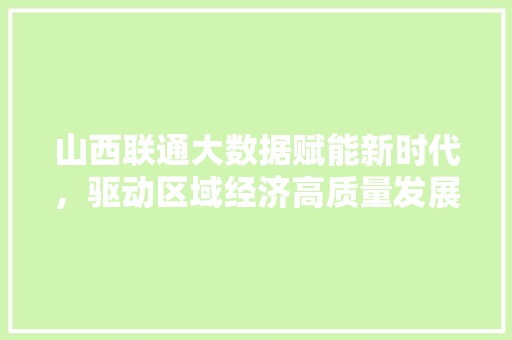 山西联通大数据赋能新时代，驱动区域经济高质量发展