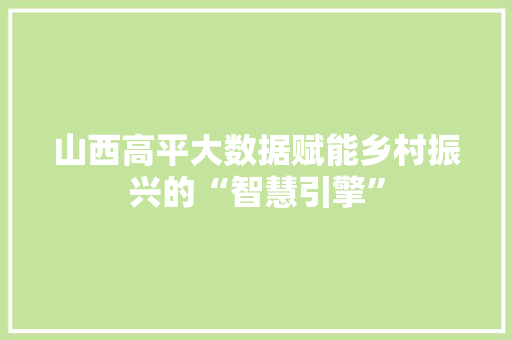 山西高平大数据赋能乡村振兴的“智慧引擎”  第1张