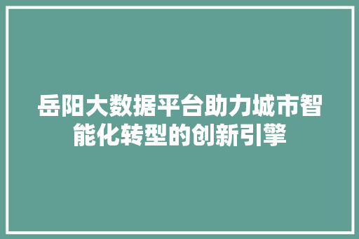 岳阳大数据平台助力城市智能化转型的创新引擎