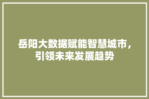 岳阳大数据赋能智慧城市，引领未来发展趋势