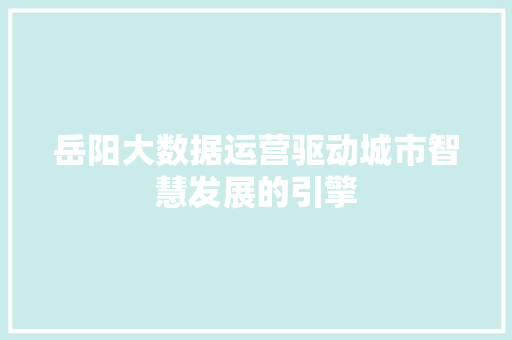 岳阳大数据运营驱动城市智慧发展的引擎  第1张