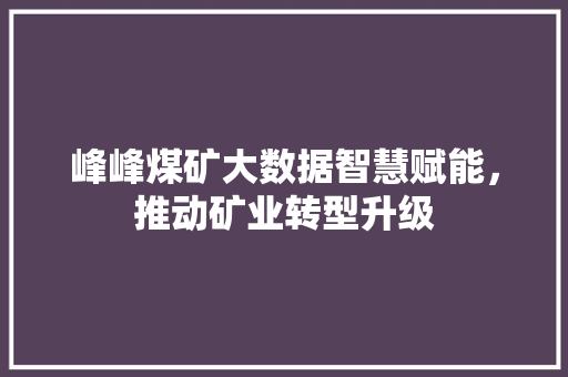 峰峰煤矿大数据智慧赋能，推动矿业转型升级