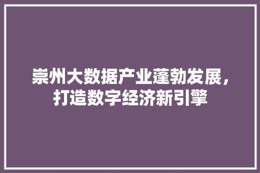 崇州大数据产业蓬勃发展，打造数字经济新引擎  第1张